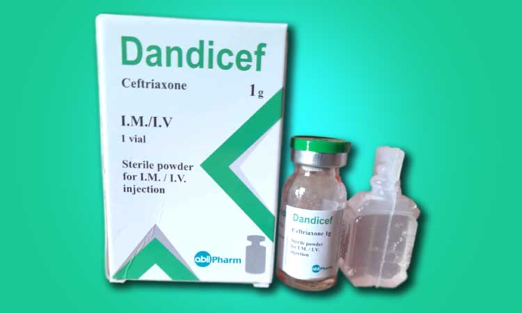 Dandicef